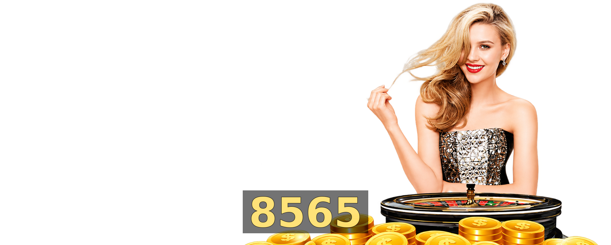 Interface 8565
